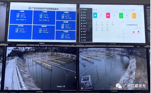 數(shù)字賦能 花都開啟現(xiàn)代農(nóng)業(yè)4.0時(shí)代，互聯(lián)網(wǎng)銷售引領(lǐng)產(chǎn)業(yè)新變革